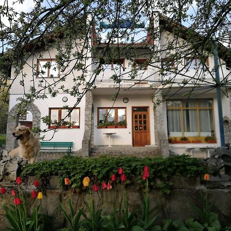 Самостоятелни стаи в къща за гости Балкан Рибарица Екстериор снимка