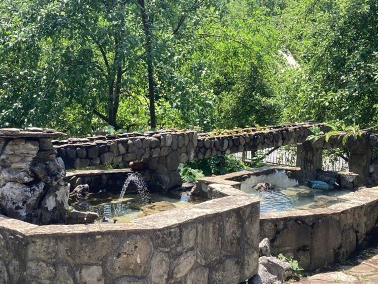 Самостоятелни стаи в къща за гости Балкан Рибарица Екстериор снимка