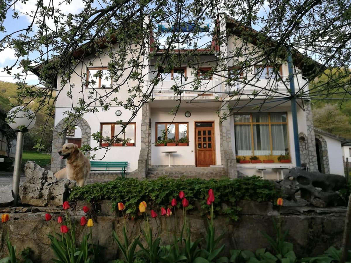 Самостоятелни стаи в къща за гости Балкан Рибарица Екстериор снимка