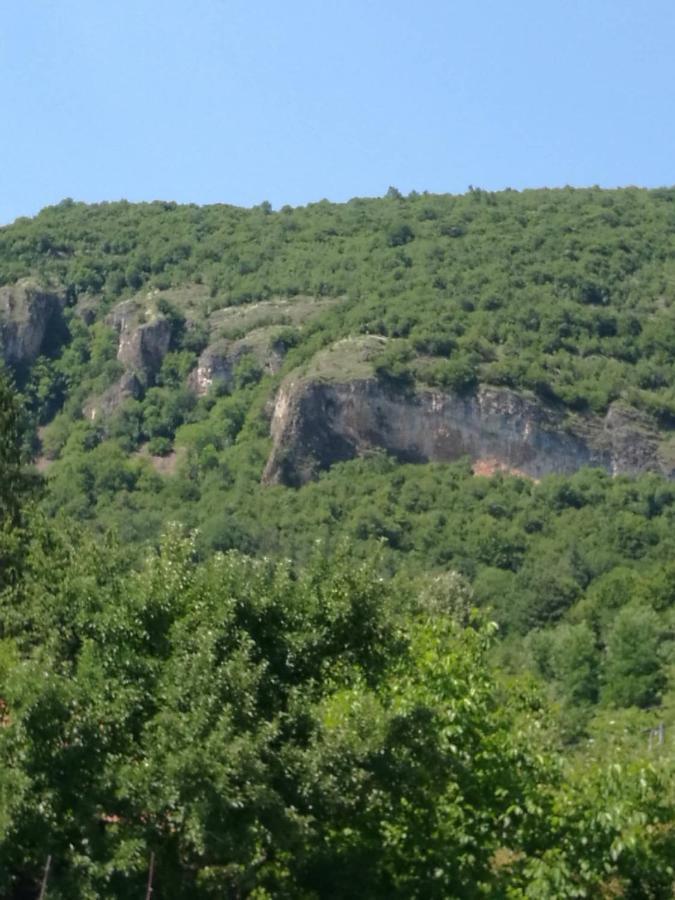 Самостоятелни стаи в къща за гости Балкан Рибарица Екстериор снимка